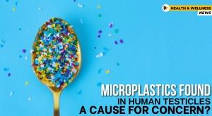 microplastics-found-in-human-testicles-a-cause-for-concern