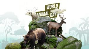 world-animal-day-2022-know-the-history-and-importance-of-this-day