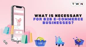 what-is-necessary-for-b2b-e-commerce-businesses