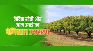 unique-example-of-organic-farming-and-mango-cultivation