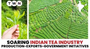 indian-tea-industry-a-steaming-success-story-of-production-exports-and-government-support