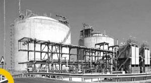government-uses-state-run-companies-in-light-of-lng-issue