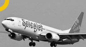 no-security-breach-found-in-spicejet-plane-probe-government-informed