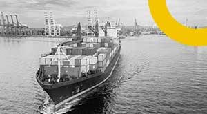 govt-plans-to-set-an-export-target-of--800-billion-for-fy23