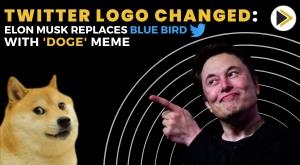 twitter-logo-changed-elon-musk-replaces-blue-bird-with-doge-meme
