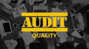 audit-quality-audit-quality-of-five-companies-including-deloy-and-pwc-will-be-inspected