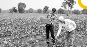 agricultural-technology-startup-grocoms-raises-1-million