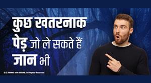 some-dangerous-trees-that-can-even-take-life