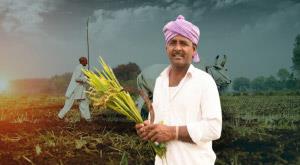 what-is-green-revolution-effect-of-green-revolution-in-india