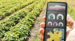 agribazaar-launches-remote-sensing-crop-model