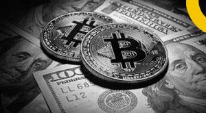 fake-crypto-exchanges-deceived-indian-investors