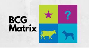 know-what-is-bcg-matrix