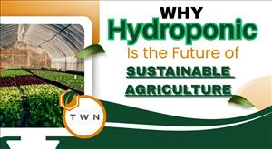 why-hydroponics-is-the-future-of-sustainable-agriculture