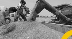 global-food-prices-hit-2-year-high-amid-rising-meat-and-edible-oil-costs-says-fao