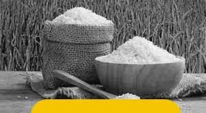 proposal-give-only-fortified-rice-can-be-approved