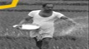 cabinet-approval-for-increase-in-fertilizer-subsidy