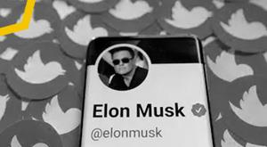 twitter-will-provide-elon-musk-more-data-on-bots