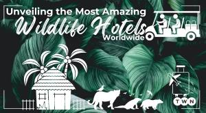 unveiling-the-most-amazing-wildlife-hotels-worldwide