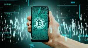 surge-of-cryptocurrency-craze-tulip-mania