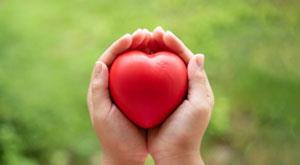 importne-of-helth-nd-wellness-industries