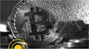 wikimedia-foundation-halts-accepting-donations-in-crypto