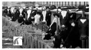 ajooni-biotech-ajooni-biotech-will-sell-stake-to-raise-rs-29-crore