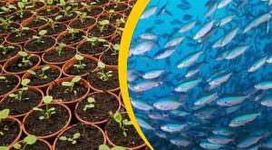 two-heads-are-better-than-one