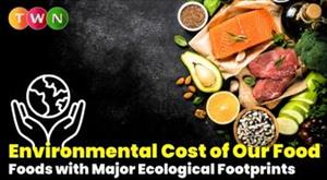 understanding-the-environmental-cost-of-our-diet-foods-with-major-ecological-footprints
