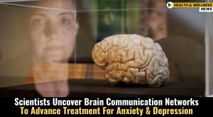 scientists-uncover-brain-communication-networks-to-advance-treatment-for-anxiety-and-depression
