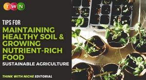 tips-for-maintaining-healthy-soil-and-growing-nutrient-rich-food-sustainable-agriculture