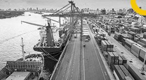 goyal-predicts-that-exports-will-grow-at-a-reasonable-rate-in-2022-23-