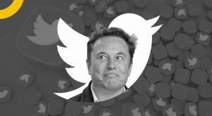 musk-twitter-deal-after-taking-twitter-command-elon-musks-tweet-wrote-bird-is-free