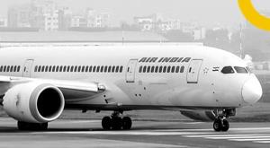 air-india-plans-ready-target-of-30-percent-share-in-domestic-market