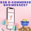 What Is Necessary for B2B E-Commerce Businesses?