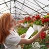 How to Start a Garden Trading Business