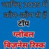 जानिए 2025 में कौन-कौन से हैं टॉप ग्लोबल बिज़नेस रिस्क