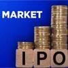 IPO Share Market: How To Invest In The First Public Offering