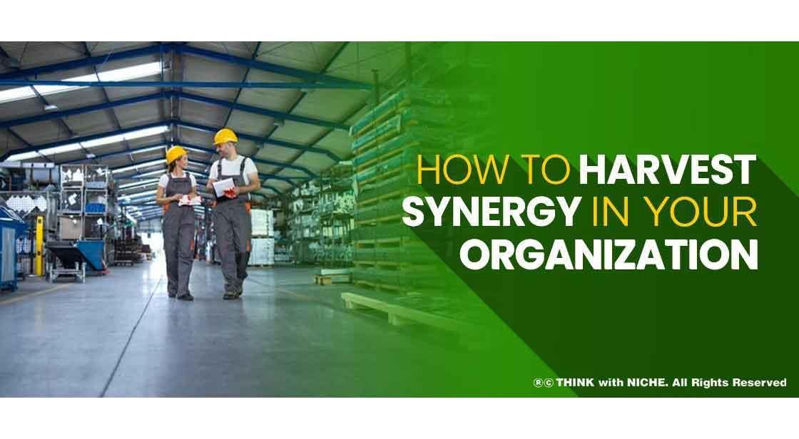How To Harvest Synergy In Your Organization