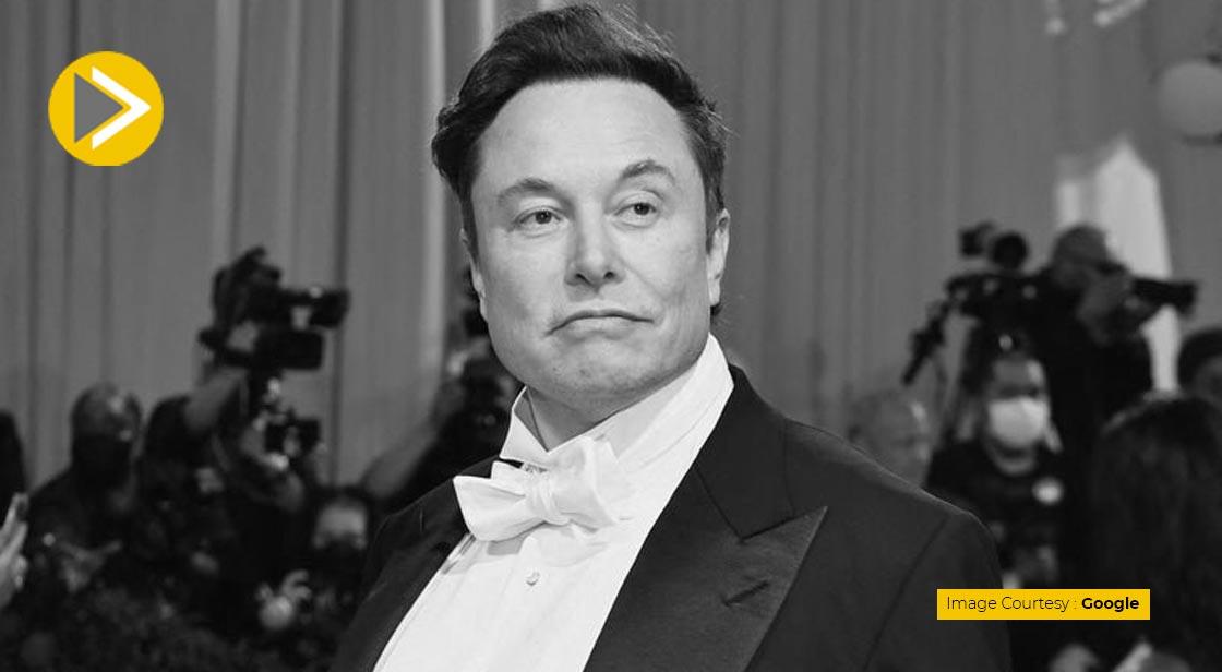 Crypto CEO says Elon Musk has no plan for Twitter