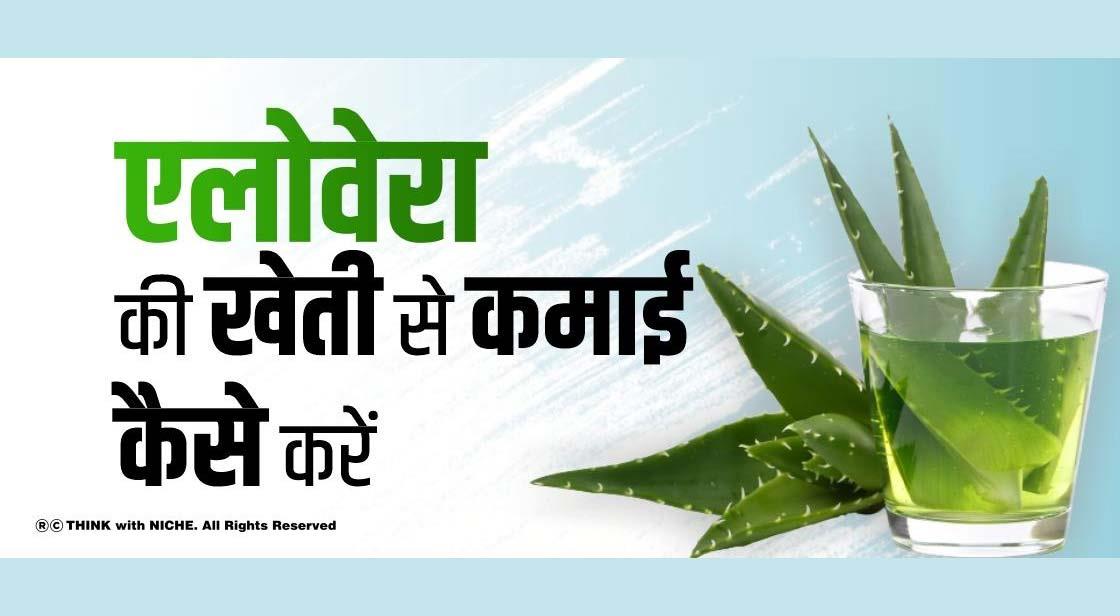 एलोवेरा की खेती से कमाई कैसे करें