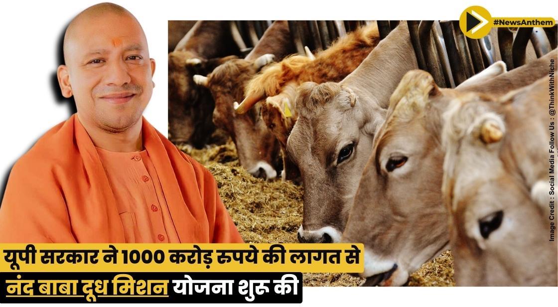 यूपी सरकार ने 1000 करोड़ रुपये की लागत से नंद बाबा दूध मिशन योजना शुरू की