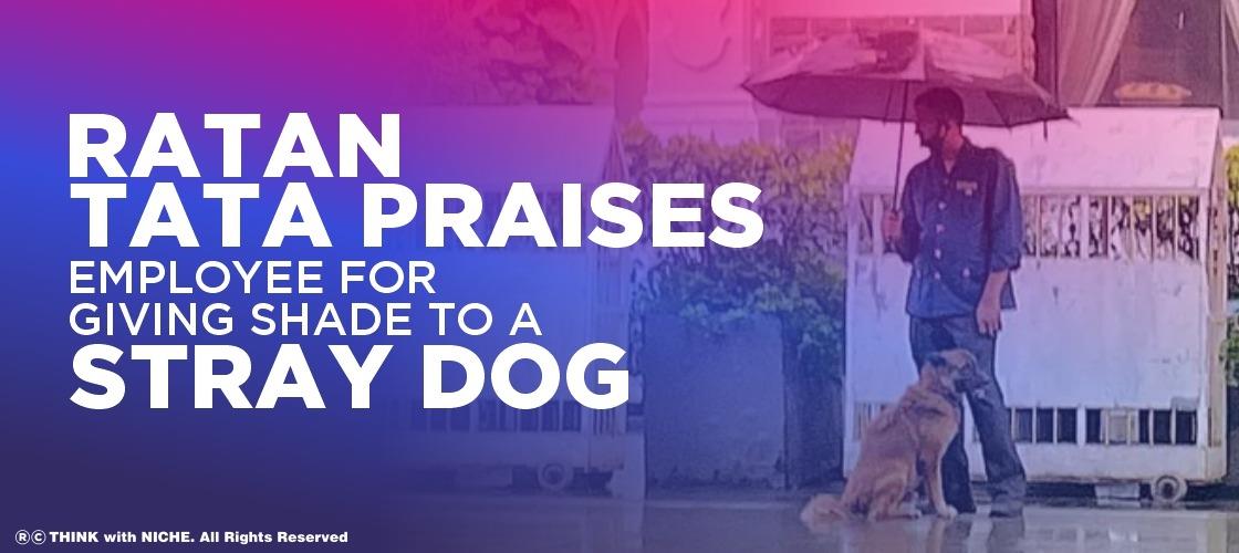 Ratan Tata Praises Employee For Giving Shade To A Stray Dog