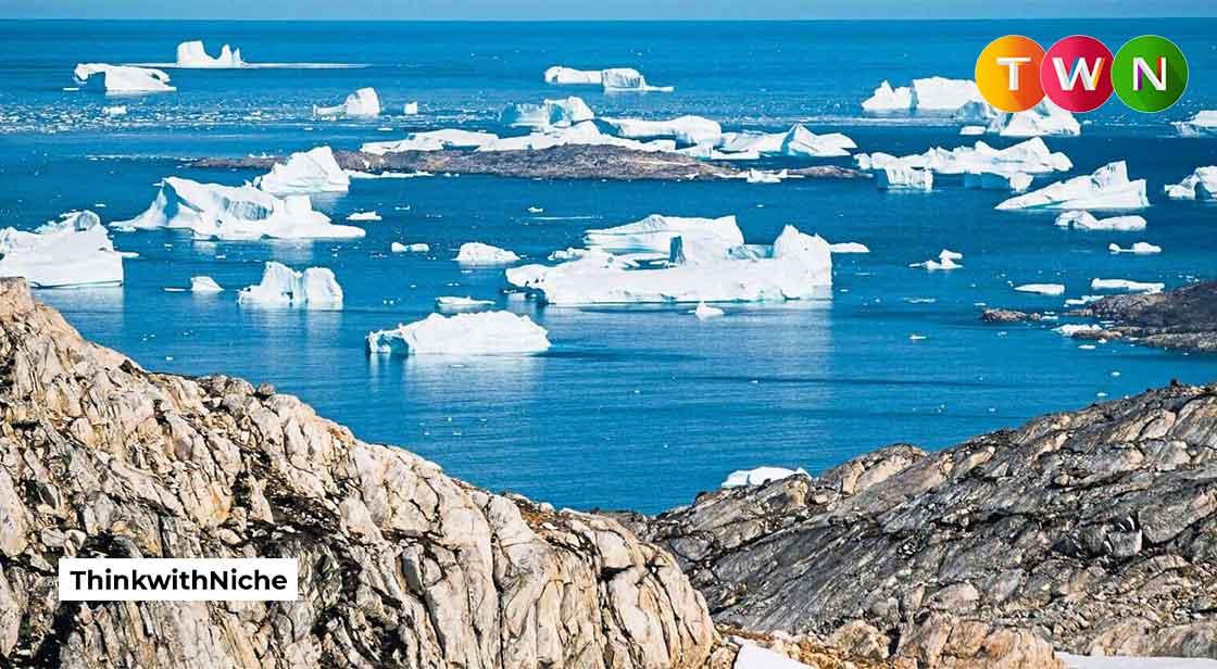 Green Startups Face Pressure to Make Climate Advances