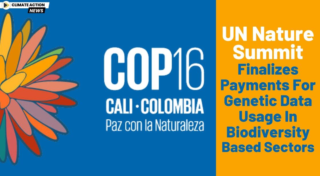 UN Nature Summit Finalizes Payments for Genetic Data Usage in Biodiversity-Based Sectors