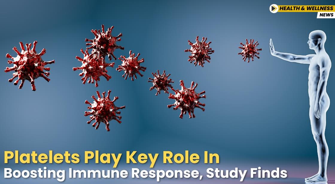 Platelets Play Key Role in Boosting Immune Response, Study Finds