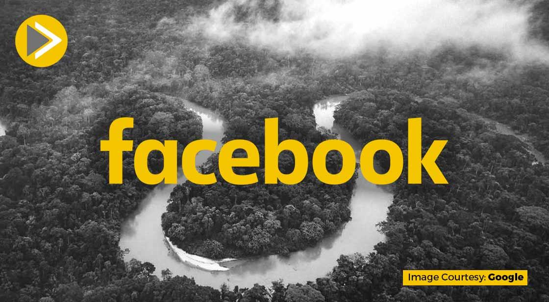 Facebook Will Take Action Against Unlawful Amazon Rainforest Sales