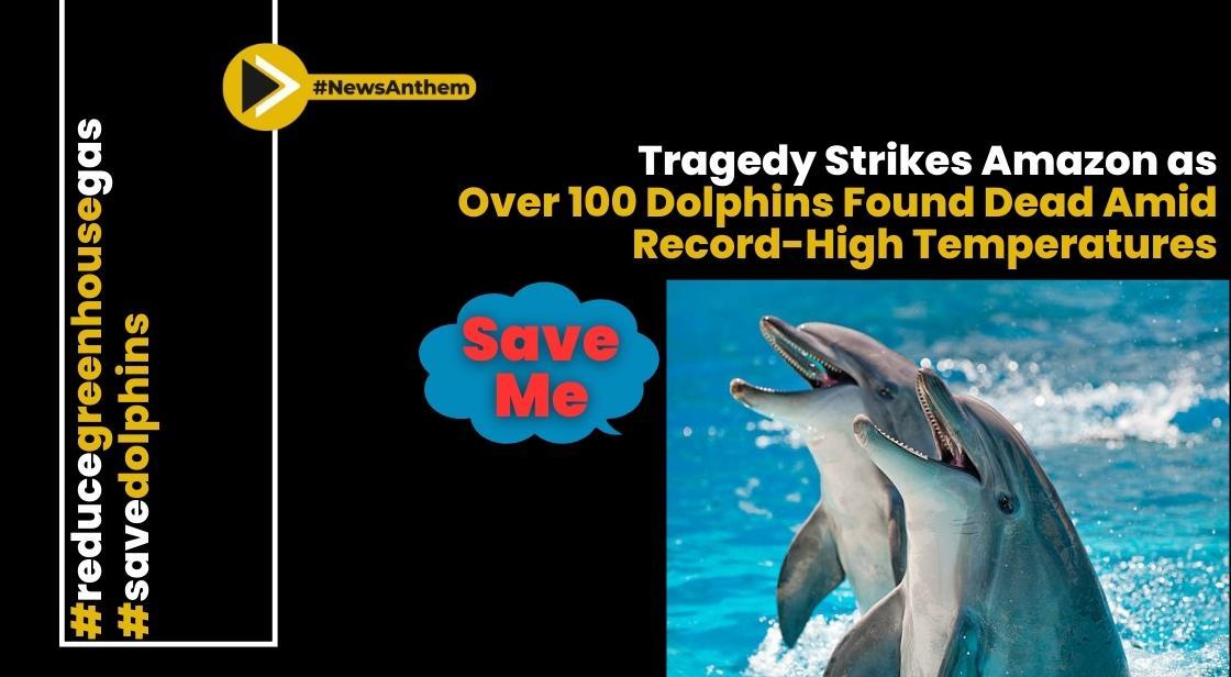 Tragedy Strikes Amazon as Over 100 Dolphins Found Dead Amid Record-High Temperatures
