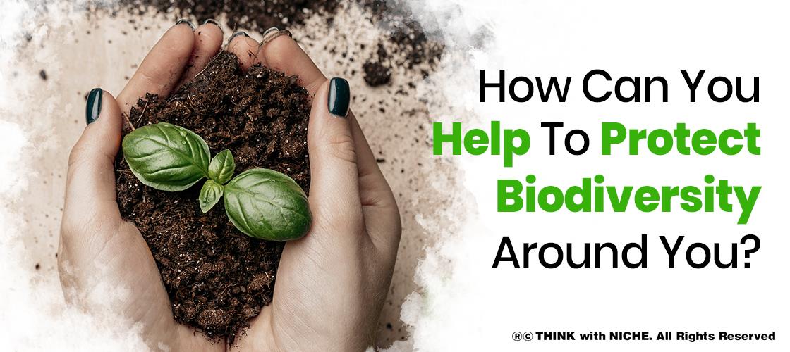 How Can You Help To Protect Biodiversity Around You