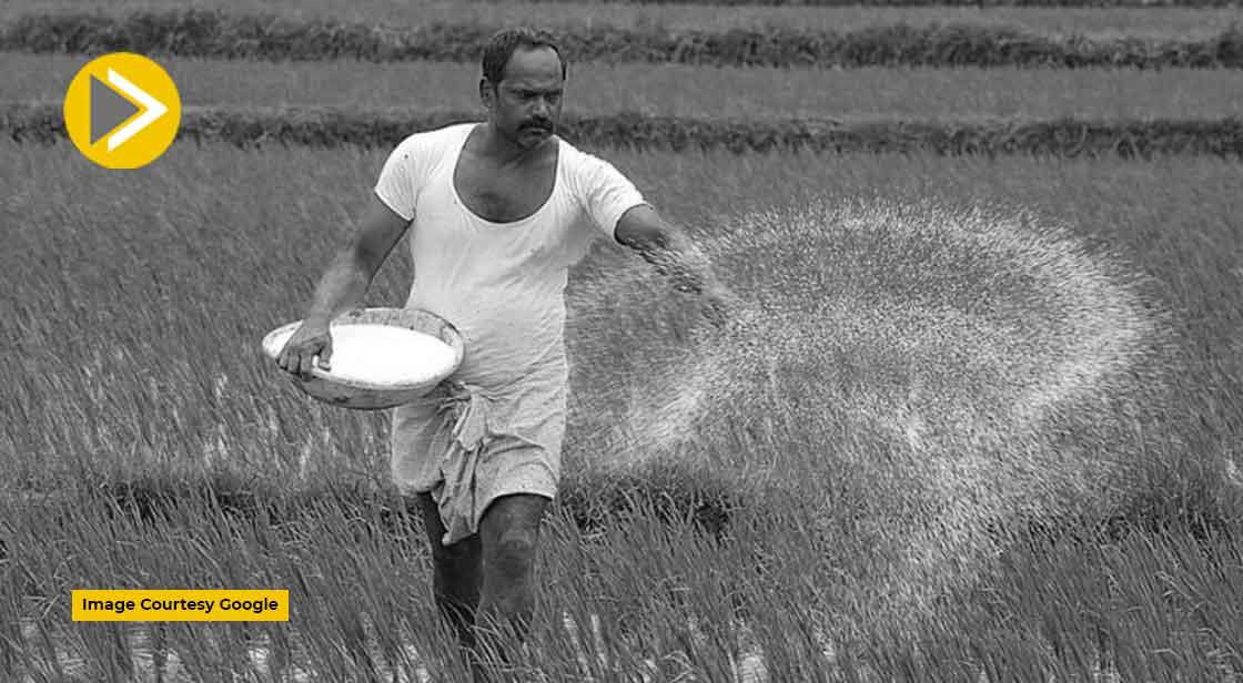 उर्वरक सब्सिडी में बढ़ोतरी को मिली कैबिनेट से मंजूरी
