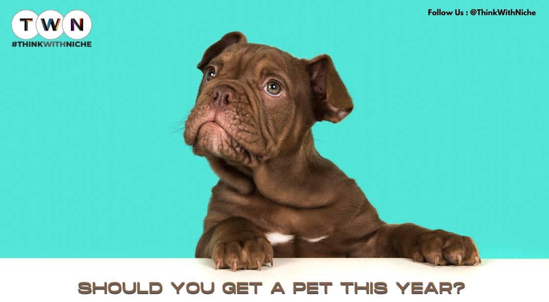 Should You Get a Pet This Year?